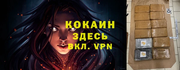 спайс Михайлов