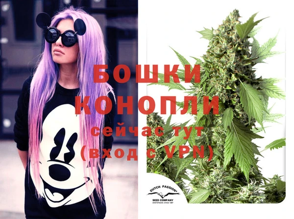 спайс Михайлов