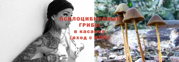 прущая мука Абинск