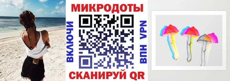 Псилоцибиновые грибы Psilocybe  даркнет какой сайт  Кострома  наркота 