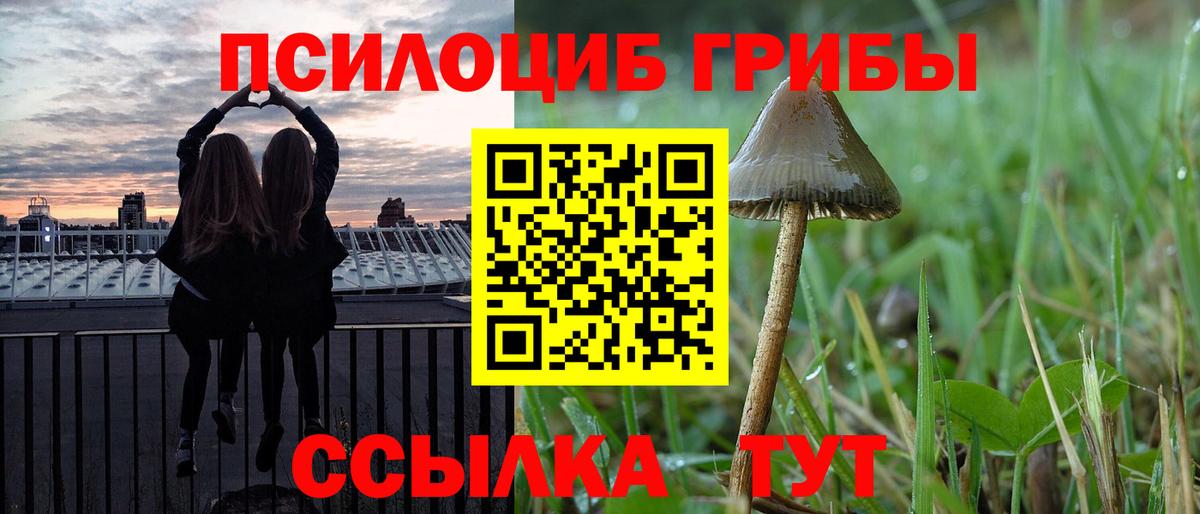 Псилоцибиновые грибы прущие грибы  Вход с VPN  Кострома 